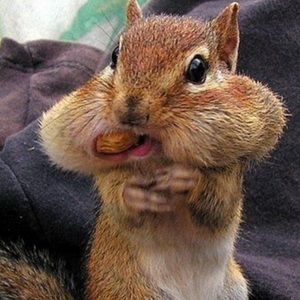 Meet your Posher, Larken